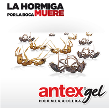 Cargar imagen en el visor de la galería, Insecticida  para Controlar Plaga de Hormigas ANTEX gel
